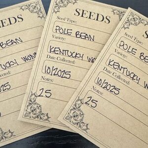 🔥🔥Heirloom Kentucky Wonder Pole Bean Seeds - 25 count